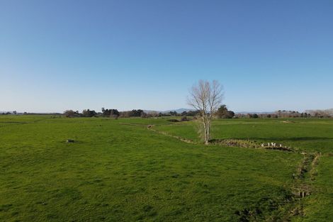 Photo of property in 77 Goodwin Road, Ohaupo, Cambridge, 3495