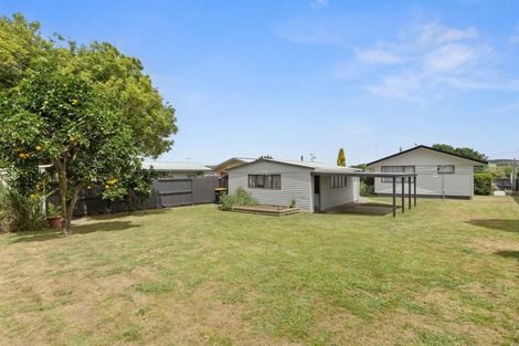 Photo of property in 69 Young Street, Morrinsville, 3300