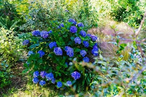 Photo of property in 54 Barclay Street, Liberton, Dunedin, 9010