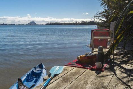 Photo of property in 370 Maungatapu Road, Maungatapu, Tauranga, 3112