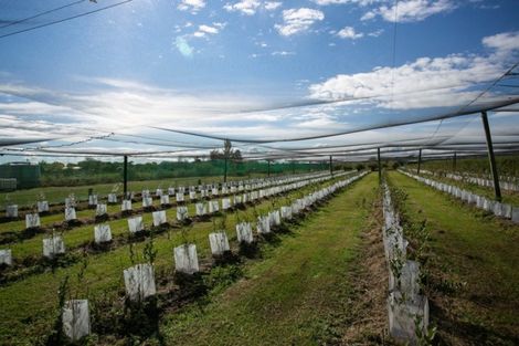 Photo of property in 1/3200 Cambridge Road, Rotoorangi, Cambridge, 3495