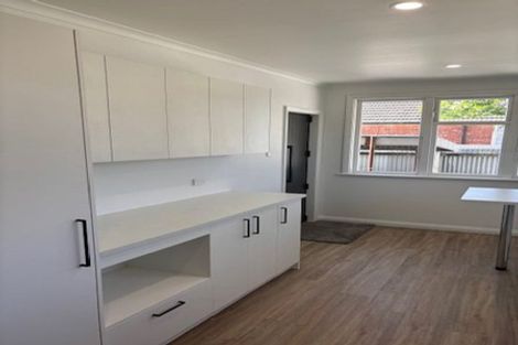 Photo of property in 115 Limbrick Street, Terrace End, Palmerston North, 4410