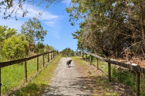 Photo of property in 306 Oneriri Road, Kaiwaka, 0573