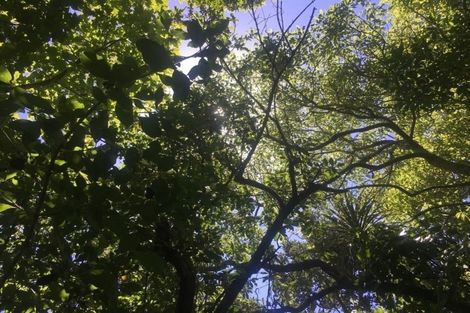 Photo of property in 93c Cecil Road, Wadestown, Wellington, 6012