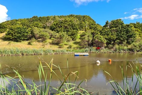 Photo of property in 304 Arapaoa Road, Tinopai, Matakohe, 0593