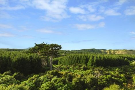 Photo of property in 31a Gray Street, Pukerua Bay, 5026