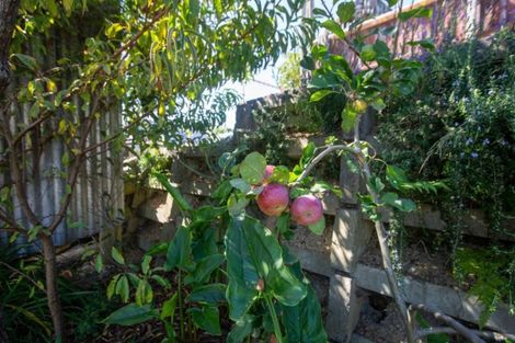 Photo of property in 7 Thompson Terrace, Toi Toi, Nelson, 7010