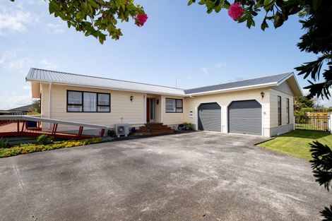 Photo of property in 21 Miller Place, Ngatea, 3503