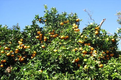 Photo of property in 66 Kitchener Street, Wairoa, 4108