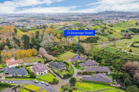 Photo of property in 73 Sovereign Street, Flat Bush, Auckland, 2019