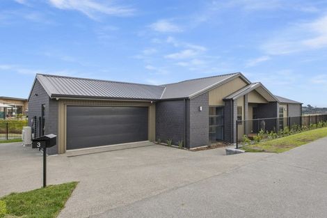 Photo of property in 3 Te Kaka Place, Omokoroa, 3114
