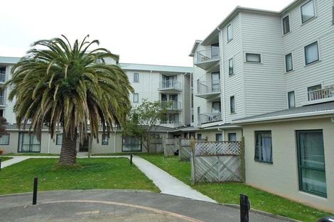 Photo of property in Palm Grove Apartments, 9/13a Palm Grove, Berhampore, Wellington, 6023
