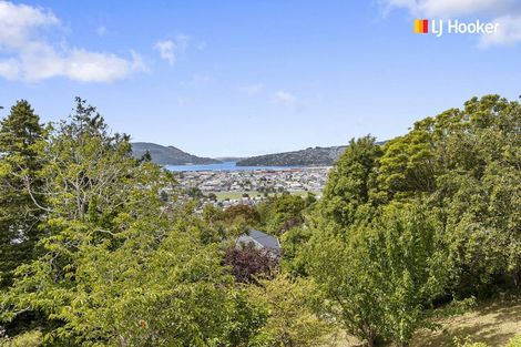 Photo of property in 51 Murray Street, Caversham, Dunedin, 9012