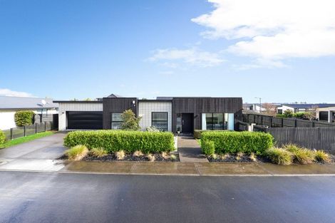 Photo of property in 41 Medway Place, Chartwell, Hamilton, 3210