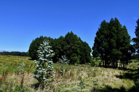 Photo of property in 216 Kongahu Swamp Road, Little Wanganui, Karamea, 7893