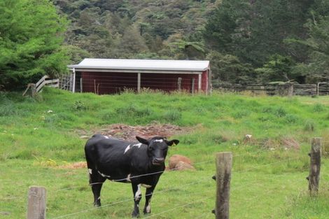 Photo of property in 401 Opouteke Road, Kaihu, Dargaville, 0379