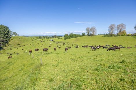 Photo of property in 736 Mangaorongo Road, Otorohanga, 3972