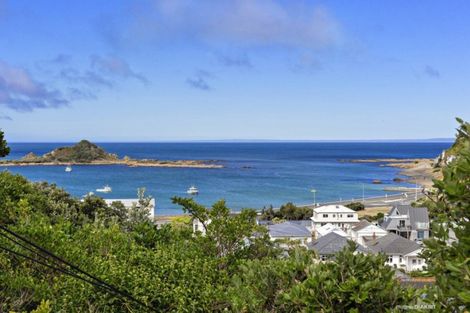 Photo of property in 17 Brighton Street, Island Bay, Wellington, 6023