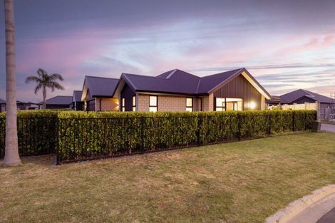 Photo of property in 45 Cotula Way, Papamoa Beach, Papamoa, 3118