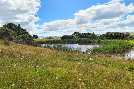 Photo of property in 304 Arapaoa Road, Tinopai, Matakohe, 0593