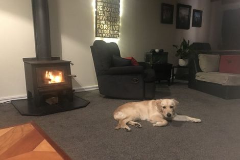 Photo of property in 117 Kiripaka Road, Tikipunga, Whangarei, 0112