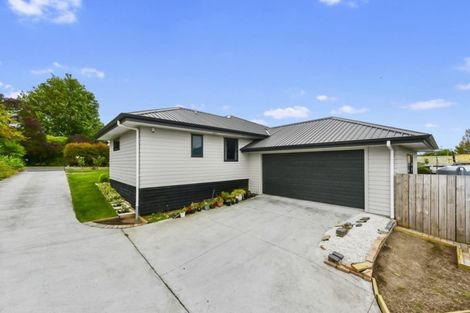 Photo of property in 206 Ohaupo Road, Glenview, Hamilton, 3206