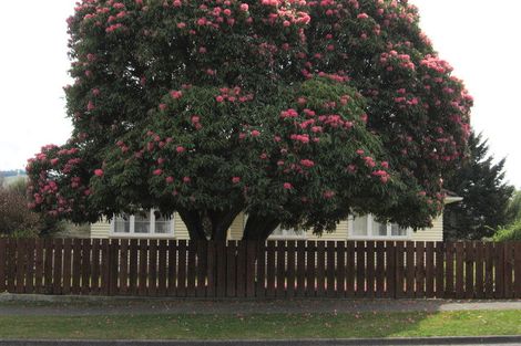 Photo of property in 59 Bellingham Crescent, Fordlands, Rotorua, 3015