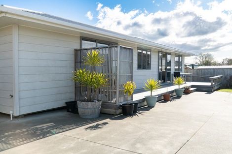 Photo of property in 3b Goddard Lane, Havelock North, 4130