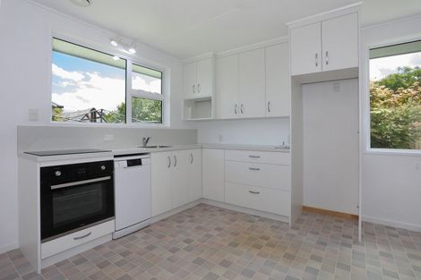 Photo of property in 56b Denbigh Street, Feilding, 4702