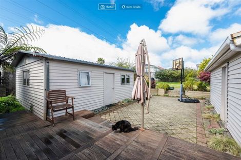 Photo of property in 9 Paton Avenue, Te Atatu South, Auckland, 0610