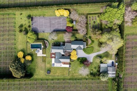 Photo of property in 420 Joyce Road, Pyes Pa, Tauranga, 3173