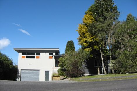 Photo of property in 73 Hauraki Terrace, Pukawa Bay, Turangi, 3381