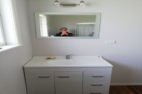 Photo of property in 12 Bowen Street, Levin, 5510