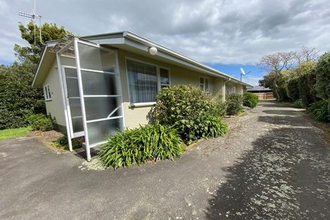 Photo of property in 1-3/68 Manson Street, Terrace End, Palmerston North, 4410