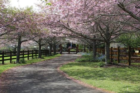 Photo of property in 713 Harrisville Road, Pukekohe East, Pukekohe, 2677