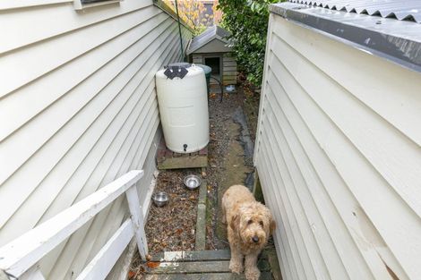 Photo of property in 71 Amapur Drive, Ngaio, Wellington, 6035