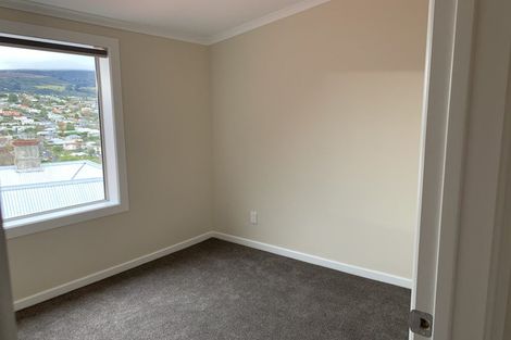 Photo of property in 6 Ann Street, Roslyn, Dunedin, 9010