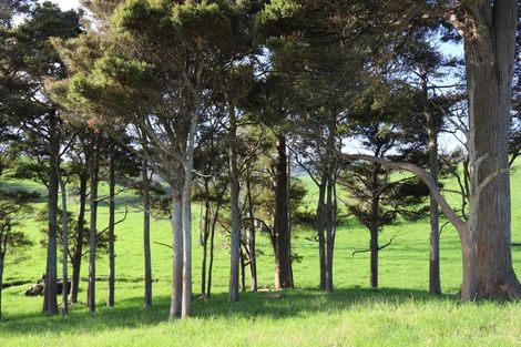 Photo of property in 182 Morrison Road, Arapohue, Dargaville, 0374