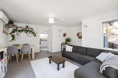 Photo of property in 58 Aurora Terrace, Hillcrest, Hamilton, 3216