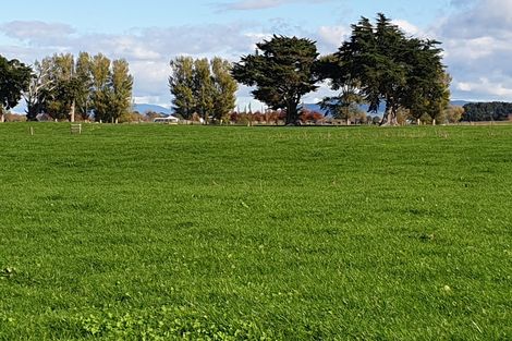 Photo of property in 661 Wardville Road, Wardville, Waharoa, 3474