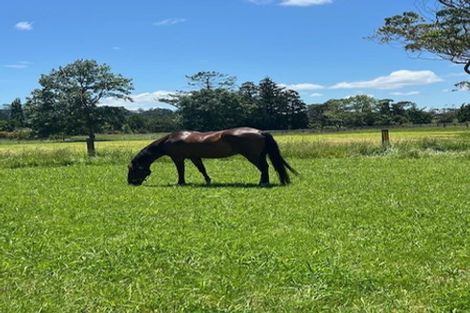 Photo of property in 103 Awa Road, Kumeu, 0891