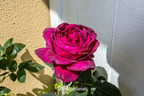 Photo of property in 22 Carlow Grove, Birchville, Upper Hutt, 5018