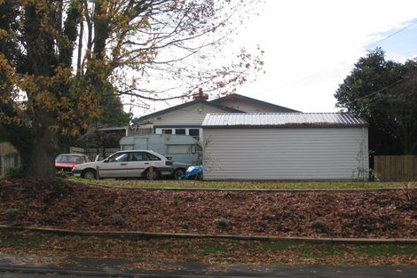 Photo of property in 162 Rimu Street, Maeroa, Hamilton, 3200