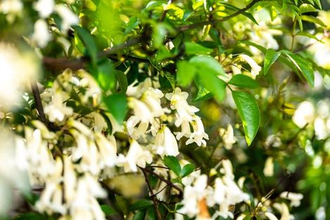 Photo of property in 2/32 Nikau Street, Stoke, Nelson, 7011