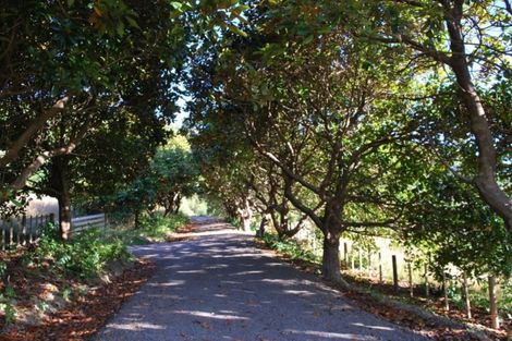 Photo of property in 143 Huia Street, Waikanae, 5391