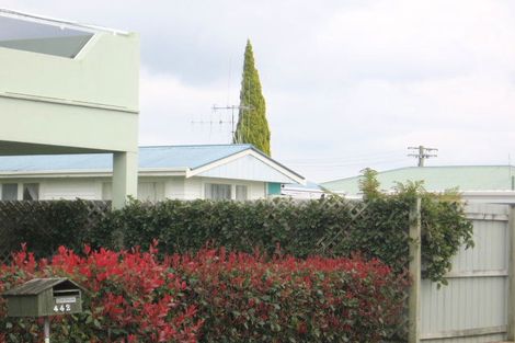 Photo of property in 440 Otumoetai Road, Otumoetai, Tauranga, 3110