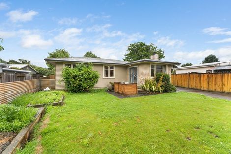 Photo of property in 26 Snowdon Avenue, Terrace End, Palmerston North, 4410