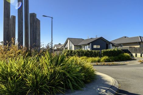 Photo of property in 10 Settler Avenue, Omokoroa, 3114