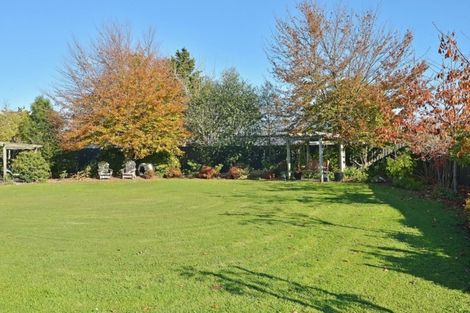 Photo of property in 56 Jellicoe Street, Greytown, 5712