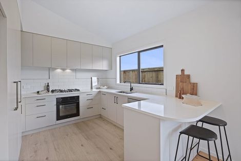 Photo of property in 22 Oneone Street, Cambridge, 3493